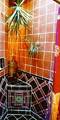 Ancient Aromatics Sea Spa & Guest Suites::Expedia