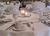 Holiday Inn Amherst from Orbitz