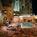 Radisson Hotel & Conference Center St. Peterburg::Travelocity.com