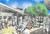 Solage::ProfessionalTravelGuide.com