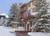 The Willows and Riva Ridge::Orbitz