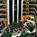 Embassy Suites Secaucus - Meadowlands::Expedia