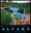 Alfaro Family Vineyards::AppellationAmerica.com