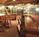 Holiday Inn Galveston on the Beach::Orbitz