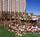 Hilton Grand Vacations Club on the Las Vegas Strip::Expedia