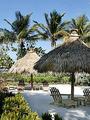 Tn-mia_ocef-beach-1