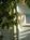 Inn 1890::TripAdvisor
