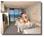 Palm Plaza Hotel::Epinions.com