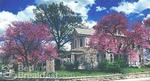 Walnut Street Inn