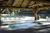Best Western Ponderosa Lodge::Expedia