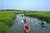 Bald Head Island Resort::ProfessionalTravelGuide.com