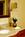Paragon Hotel Bellevue Center::Expedia