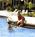 Paradise Beach Resort from Hotels.com