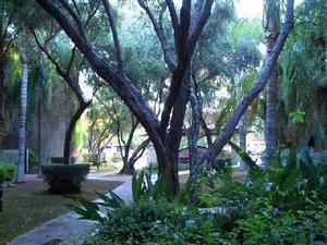 Web-2339138-scottsdale_resort_and_conference_center-scottsdale