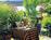 Hotel Baronette::Expedia