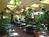 Quality Inn and Suites Golf Resort::Orbitz