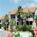 The Colony Beach and Tennis Resort::Orbitz