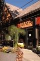 Maya Del Sol::VisitOakPark.com