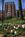 Marriott Wardman Park Hotel::ZoomAndGo