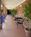Best Western Brandon Hotel & Conference Center::Expedia