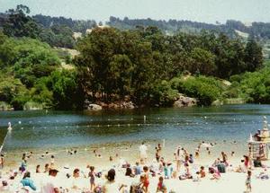 Tilden Park (Lake Anza)::Allison_branen
