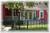 The Pineapple Inn, Inc.::BedAndBreakfast.com