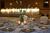 Holiday Inn Chicago-Countryside/Lagrange::Orbitz