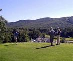 Tn-t33870_golf_01_f