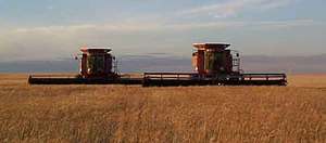Web-home_web-wheat-harvesting