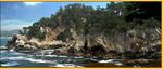 Point Lobos State Reserve