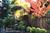 TLC Bed & Breakfast Incorporated::BedAndBreakfast.com