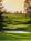 Holiday Inn Express Chateau Elan Lodge::ProfessionalTravelGuide.com
