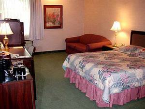 Web-054201f