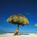 Marriott Marco Island Beach Resort Golf Club and Spa::Yahoo! Travel