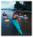 Monterey Bay Kayaks::Montereybaykayaks.com