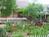 Yosemite's Sierra Mountain Lodge::BedAndBreakfast.com