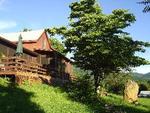Blue Ridge Pottery::Virginia.org