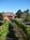 Pearlessence Vineyard Inn::BedAndBreakfast.com