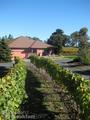Pearlessence Vineyard Inn
