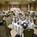 Embassy Suites Hotel Portland-Washington Square::Hotels.com