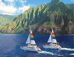 Blue Dolphin Charters, Ltd