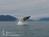 Glacier Bay Country Inn::BedAndBreakfast.com