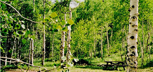 Web-berrycreek-picture