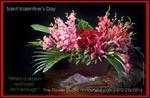 Coby Neal The Flower Studio