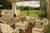 Devonfield::BedAndBreakfast.com
