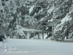 The Inn at Timber Cove::BedAndBreakfast.com