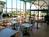 Ramada Maingate West Kissimmee::Orbitz