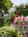 Arabian Horse Inn B::BedAndBreakfast.com