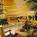 Marriott Anaheim Suites::Hotels.com