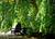 Highland Farms::BedAndBreakfast.com